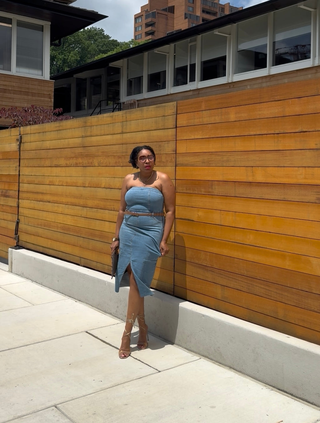 The Proper in Denim Dress
